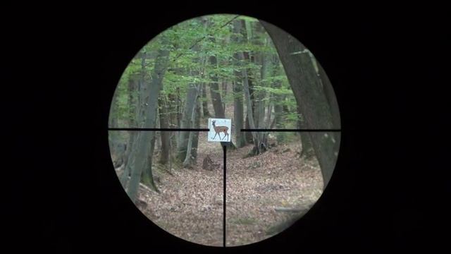 Docter Unipoint 1-4x24 reticle 4-0 subtensions смотреть онлайн