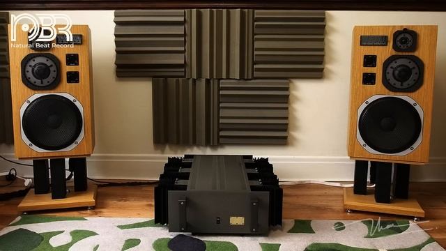 Hi-Res Audiophile Collection - Power Bass and Vocals - Natural Beat Records смотреть онлайн