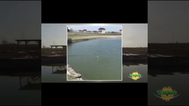 Клевое место Усадьба) смотреть онлайн