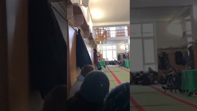 Красивое чтение Корана смотреть онлайн