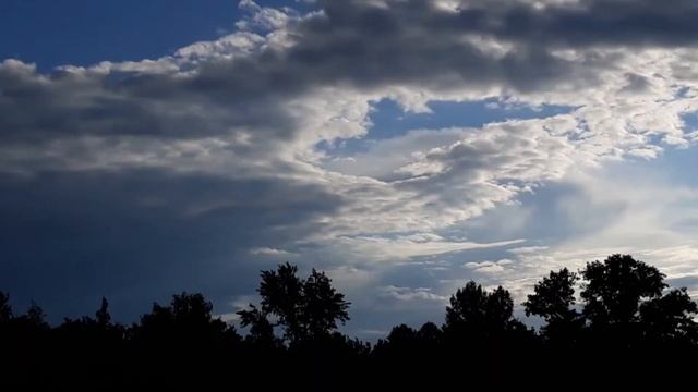 Пение птиц. Щебет птичек. Птичье пение. Звуки природы. Чириканье птиц. АСМР/ASMR смотреть онлайн