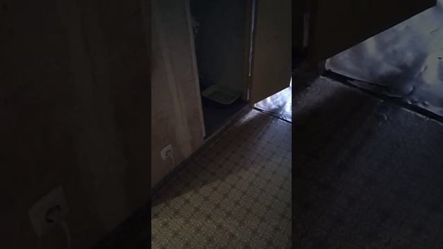 Утренние дела корниш рекса. смотреть онлайн