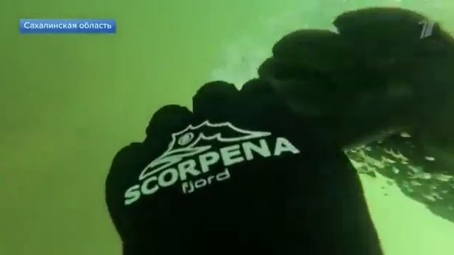 На Сахалине убедились в эффективности лазера, созданного учеными корпорации «Росатом» смотреть онлайн
