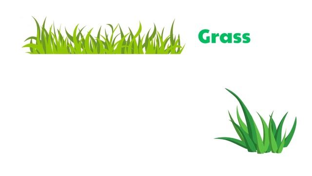 Top 50 Nature Vocabulary In English | English Vocabulary