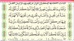 Шейх Айман Сувейд сура Бакара стр 45