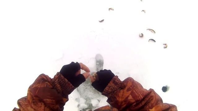 ОКУНЬ НА БЛЕСНУ В ФЕВРАЛЕ смотреть онлайн