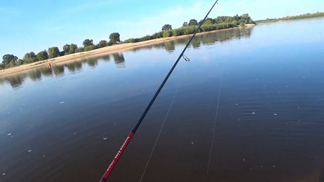 Ловля линя и не только на старом русле реки Припять!!! смотреть онлайн