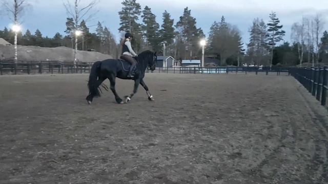Rink 2017-04-10 смотреть онлайн