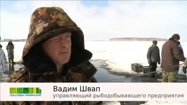 Армизонский район смотреть онлайн