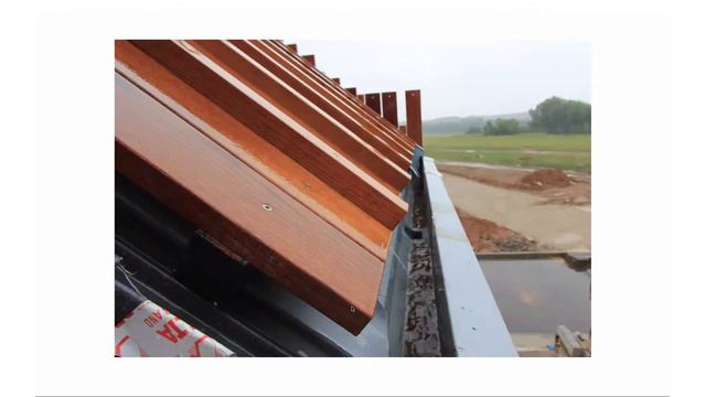 Светлана Васильева "Энергоэффективность. Первый активный дом в России" смотреть онлайн