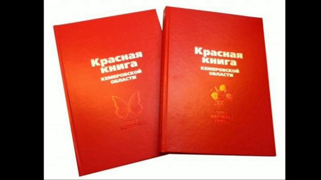 Кто придумал Красную книгу. смотреть онлайн