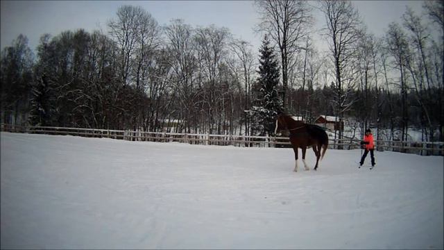 Snørekjøring med Gali for første gang 24 jan 16 смотреть онлайн