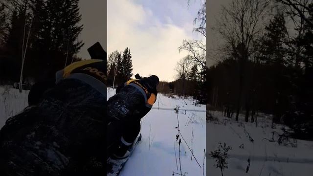 на буране по тайге #snowrunner #снег #снегоход #буран #тайга #сибирь смотреть онлайн