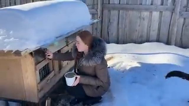 КАК ЖИВЕТ МОЛОДЕЖЬ В ДЕРЕВНЕ?! ГОТОВИМ ДОМАШНИЕ ГОЛУБЦЫ ПО МАМИНОМУ РЕЦЕПТУ! НАША ФЕРМА! смотреть онлайн