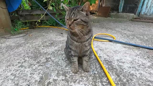 Славянск. 20 июля 2024г. Вечер. смотреть онлайн