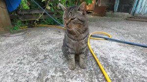 Славянск. 20 июля 2024г. Вечер.