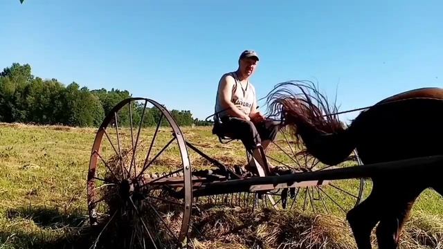 Сенокос 2021! продолжение смотреть онлайн