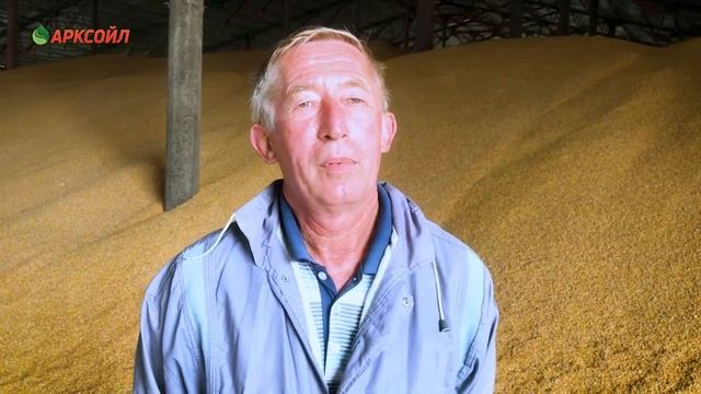 Озимая пшеница 2 недели в воде – не проблема для Арксойл смотреть онлайн