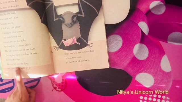 Read aloud:: BATS creatures of the night: story time. смотреть онлайн
