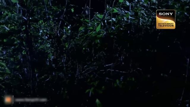 Waterbodies | CID | Team CID Encounters A Dangerous Tiger On The Prowl! | 4 Feb 2023 смотреть онлайн