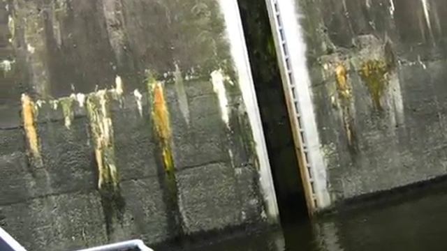 videoplayback25.mp4 смотреть онлайн