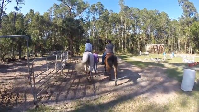 Horseback Riding With Dawn смотреть онлайн