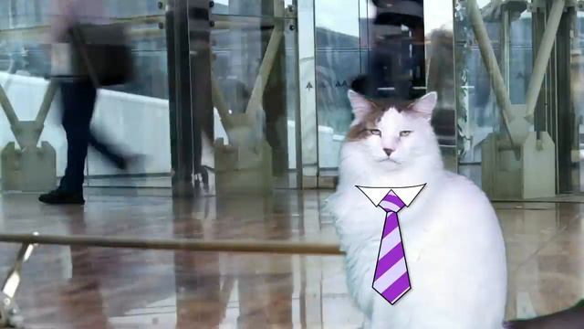 HAPPY BIRTHDAY JULIE! - EPIC CAT Happy Birthday Song смотреть онлайн