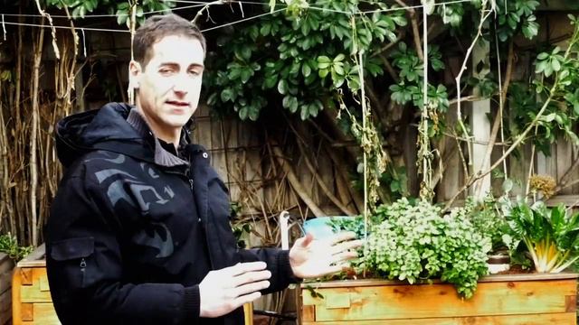 5 things you must know to minimize water consumption in aquaponics смотреть онлайн