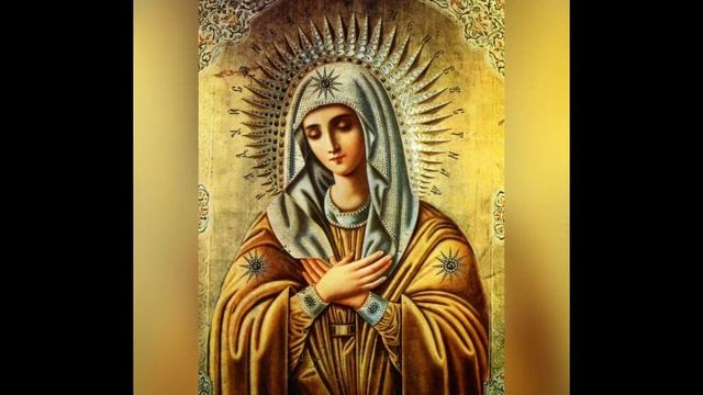 От обидчиков и суда Сон Пресвятой Богородицы #святаямолитва смотреть онлайн