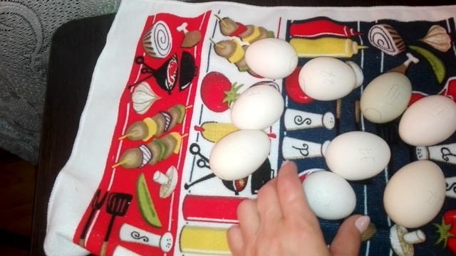 Инкубация яиц