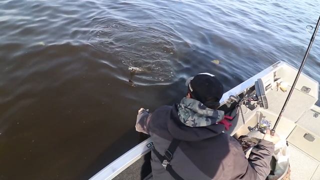 Жерехи Клюют ОДИН за ОДНИМ на Чебоксарском Водохранилище!!! Рыбалка на Волге и Ловля Щук! смотреть онлайн