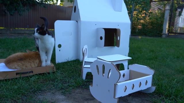ГИГАНТСКИЙ картонный ДОМИК для КОТОВ! Смешной Кот и Кошечка Мурка и РУМ ТУР смотреть онлайн