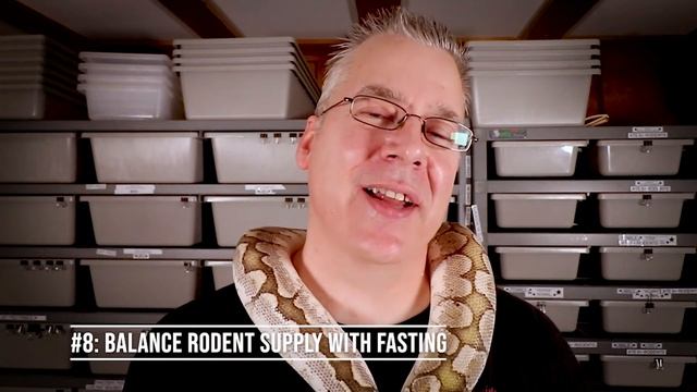 15 Ball Python Breeding Tips! смотреть онлайн