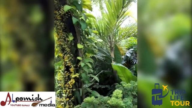 DUNYO BO'YLAB SAYOHATLAR: SINGAPUR/СИНГАПУР-ЛУЧШИЙ ГОРОД В МИРЕ.