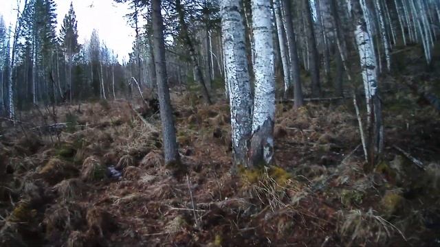 Солим Солонцы -польза солонцов смотреть онлайн