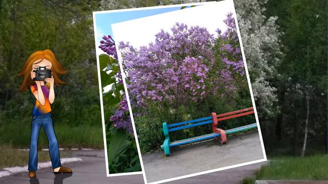 соловей смотреть онлайн