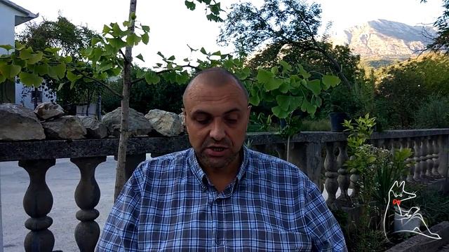 Фёдор Сваровский читает «Морское приключение» для фестиваля «Не здесь—2017» смотреть онлайн