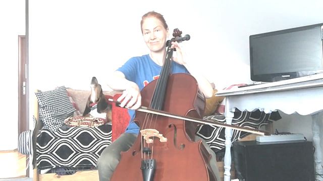Basset Hound can't help but sing along to cello session смотреть онлайн