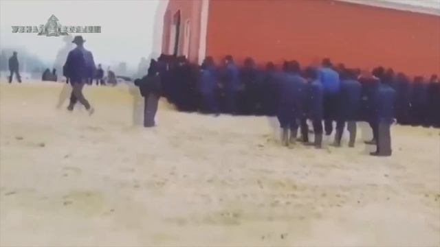 Посмотри! Редкие кадры, которые удалось снять на камеру!