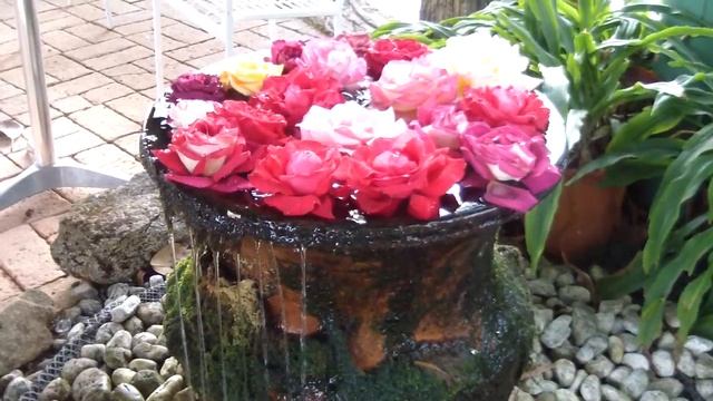 Чиангмай - королевский цветник на горе Дой СУтеп - Bhubhin Palace смотреть онлайн