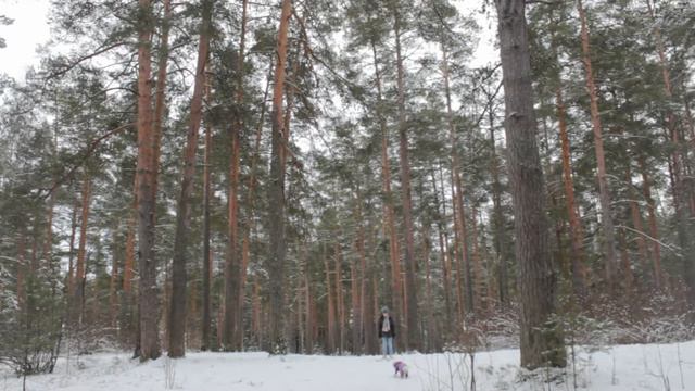 Бесценный дар! смотреть онлайн