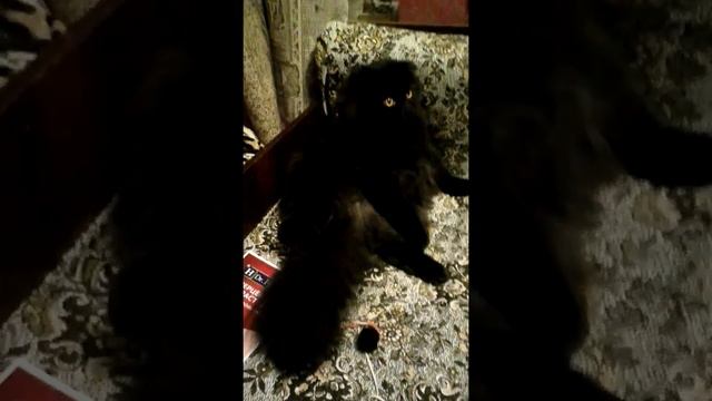 Надо надо умываться по утрам и вечерам 👋🙋😊 смотреть онлайн