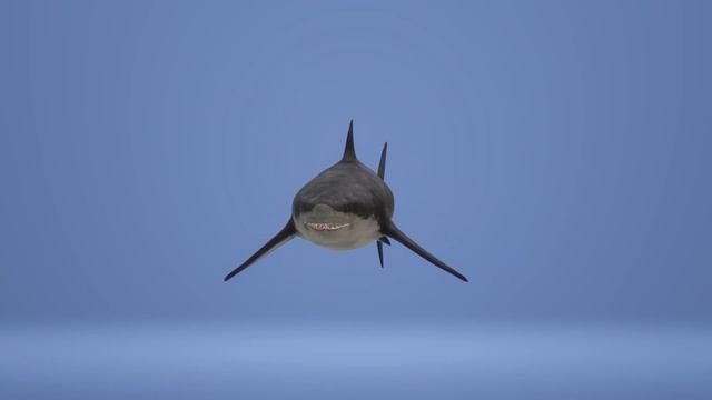 МЕГАЛОДОН (MEGALODON), МОНСТР ДРЕВНОСТИ