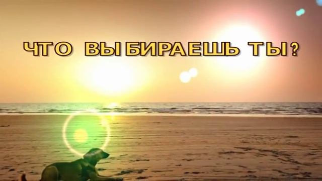 Берегите Природу! Соц. Реклама! смотреть онлайн