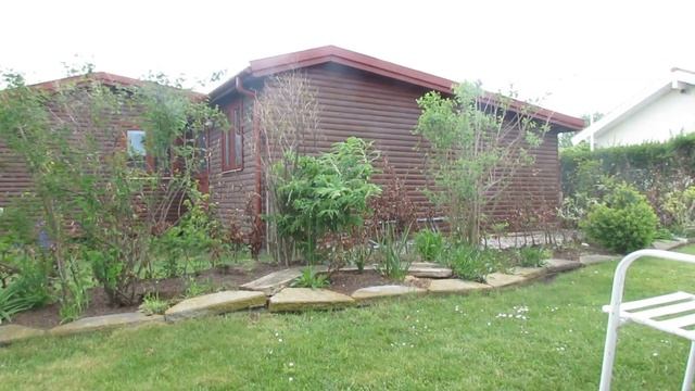 Canon powershot sx40 zoom смотреть онлайн