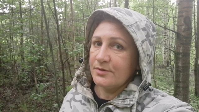 Ура,. Первые грибы. Пермский край. Березники смотреть онлайн