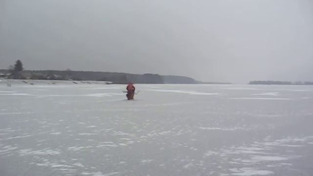 Финская коза выдерживает двоих. смотреть онлайн