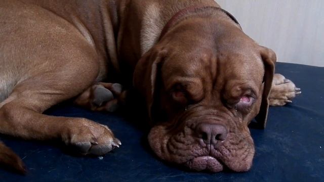 Джи спит смотреть онлайн