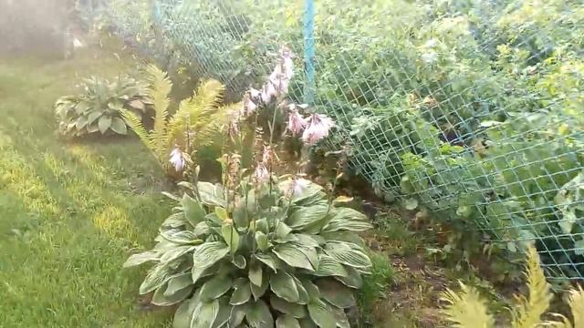 Дача простого народа. смотреть онлайн