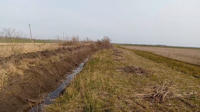 Поле 4 гектара смотреть онлайн